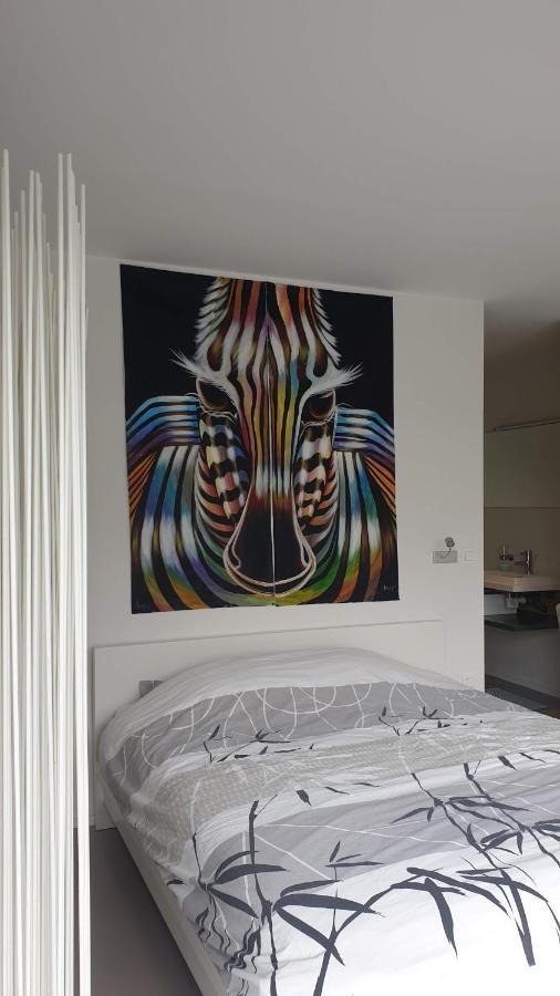 דירות האסלט Modern Stylisch Loft מראה חיצוני תמונה